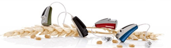 �������� ������� Phonak Audeo Mini